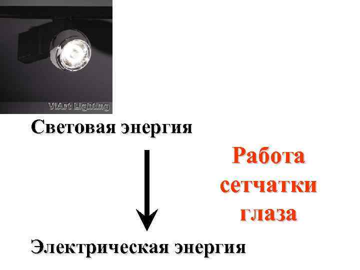 Световая энергия Работа сетчатки глаза Электрическая энергия 