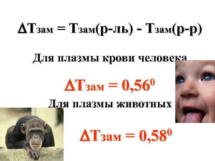  Тзам = Tзам(р-ль) - Tзам(р-р) Для плазмы крови человека Тзам = 0 0,