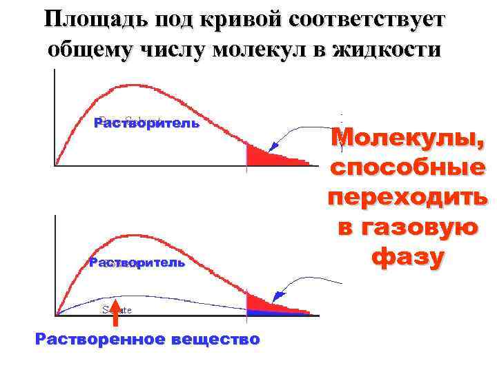 Площадь под кривой соответствует общему числу молекул в жидкости Растворитель Растворенное вещество Молекулы, способные