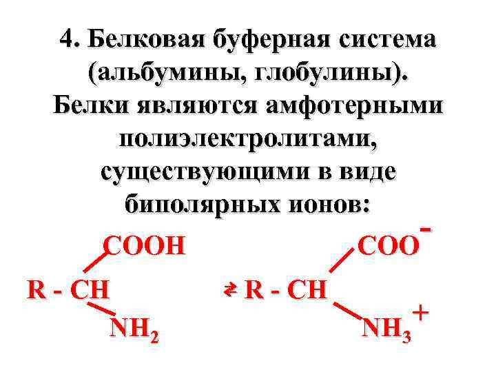 Белковая буферная система физиология презентация