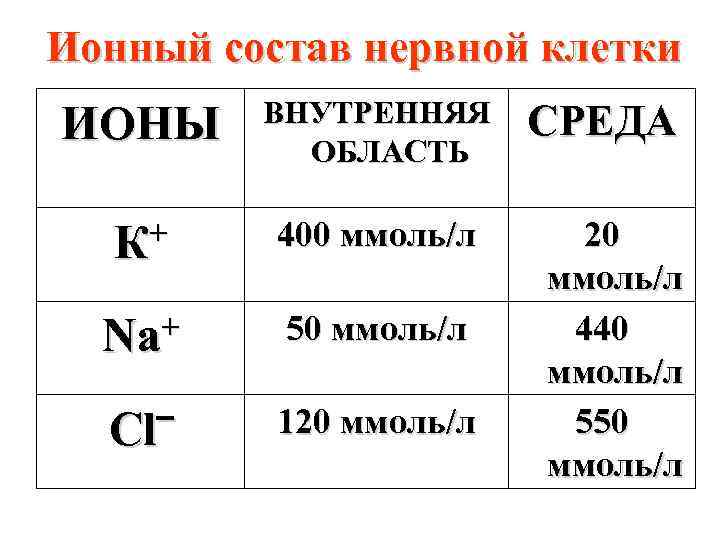 Ионный состав нервной клетки ИОНЫ ВНУТРЕННЯЯ ОБЛАСТЬ + К 400 ммоль/л Na+ 50 ммоль/л