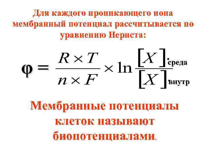 Для каждого проникающего иона мембранный потенциал рассчитывается по уравнению Нернста: φ= среда внутр Мембранные