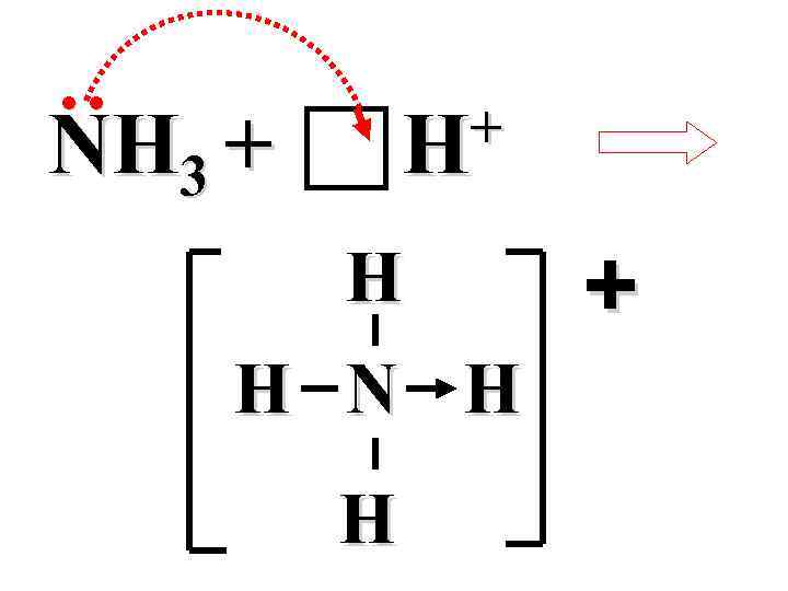 ●● + H NH 3 + H H N H H + 
