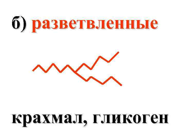 б) разветвленные крахмал, гликоген 