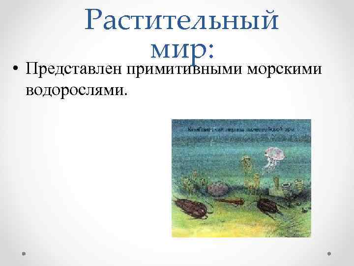 Растительный мир: • Представлен примитивными морскими водорослями. 
