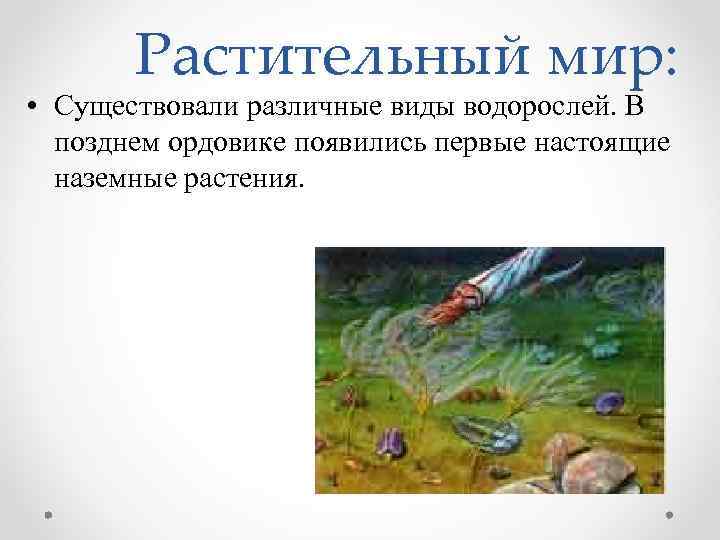 Растительный мир: • Существовали различные виды водорослей. В позднем ордовике появились первые настоящие наземные