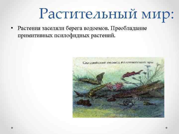 Растительный мир: • Растения заселяли берега водоемов. Преобладание примитивных псилофидных растений. 