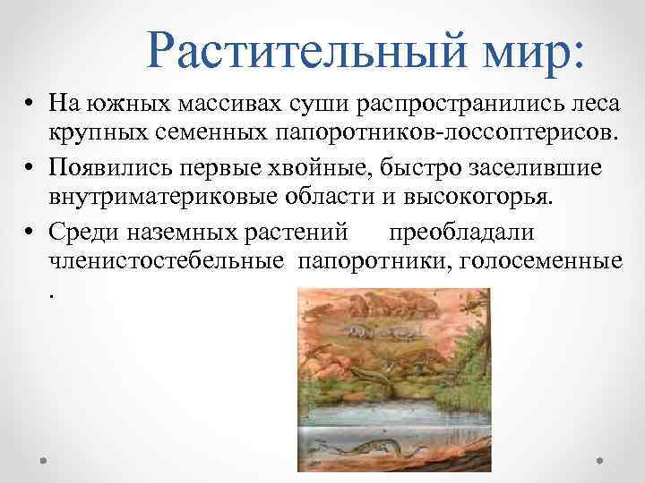 Растительный мир: • На южных массивах суши распространились леса крупных семенных папоротников-лоссоптерисов. • Появились