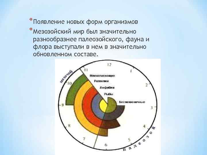*Появление новых форм организмов *Мезозойский мир был значительно разнообразнее палеозойского, фауна и флора выступали