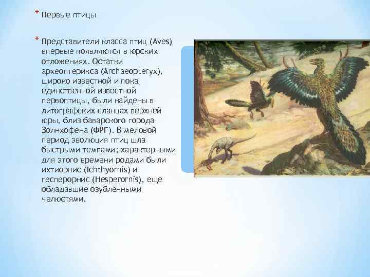 * Первые птицы * Представители класса птиц (Aves) впервые появляются в юрских отложениях. Остатки
