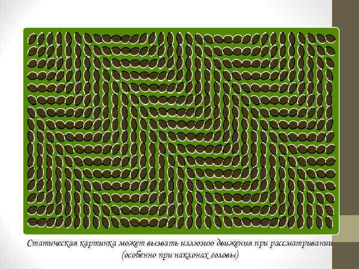 Статическая картинка может вызвать иллюзию движения при рассматривании (особенно при наклонах головы) 