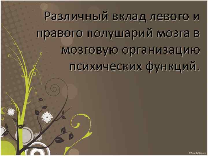 Различный вклад левого и правого полушарий мозга в мозговую организацию психических функций. 
