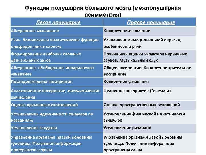 Функции левого и правого мозга. Функции левого и правого полушария головного мозга. Функциональная асимметрия полушарий головного мозга таблица. Функции правого полушария.