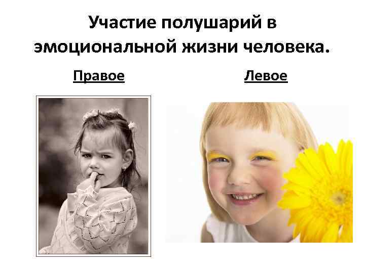 Участие полушарий в эмоциональной жизни человека. Правое Левое 