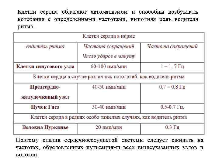 Клетки сердца обладают автоматизмом и способны возбуждать колебания с определенными частотами, выполняя роль водителя