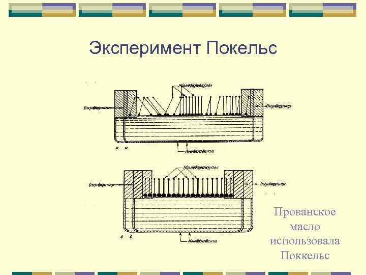 Эксперимент Покельс Прованское масло использовала Поккельс 