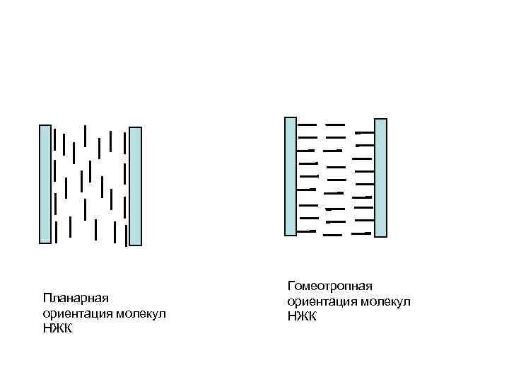 Планарная ориентация молекул НЖК Гомеотропная ориентация молекул НЖК 