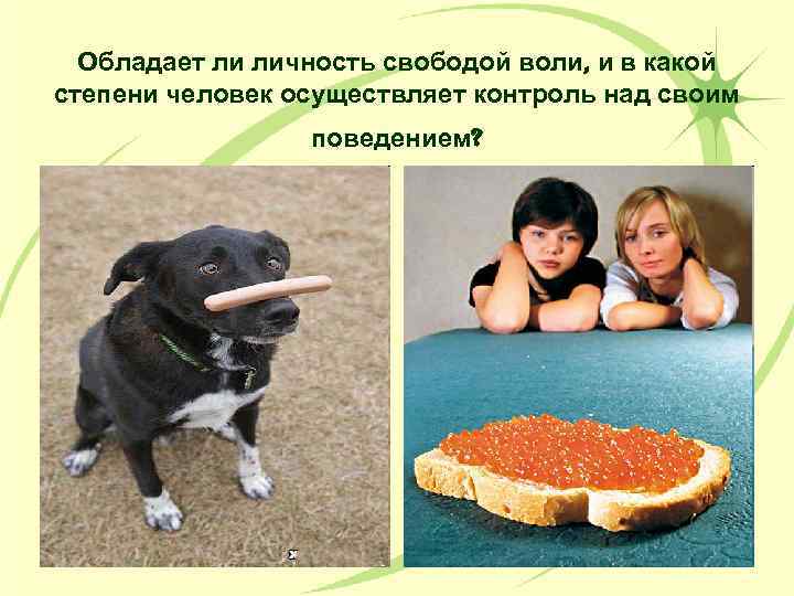 Обладает ли личность свободой воли, и в какой степени человек осуществляет контроль над своим