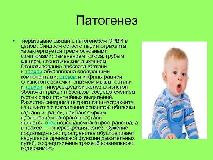 Патогенез • неразрывно связан с патогенезом ОРВИ в целом. Синдром острого ларинготрахеита характеризуется тремя