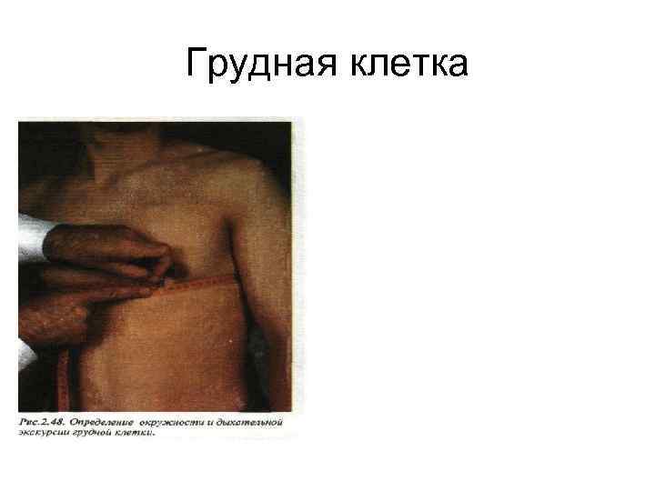 Грудная клетка 