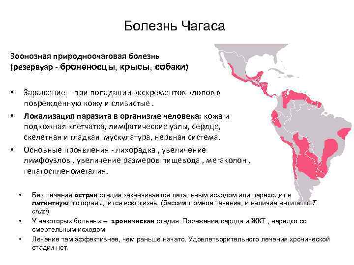 Болезнь Чагаса Зоонозная природноочаговая болезнь (резервуар - броненосцы, крысы, собаки) Заражение – при попадании