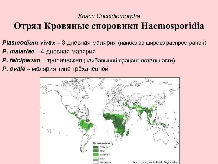 Малярия распространена. Малярия ареал распространения. Тропическая малярия распространение. Наиболее распространена малярия. Карта распространения малярии.