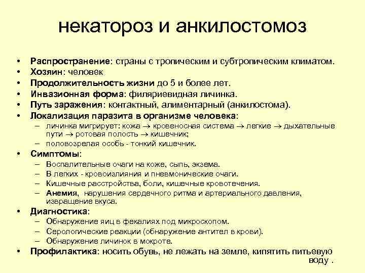 некатороз и анкилостомоз • • • Распространение: страны с тропическим и субтропическим климатом. Хозяин: