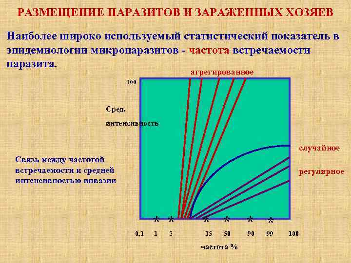 РАЗМЕЩЕНИЕ ПАРАЗИТОВ И ЗАРАЖЕННЫХ ХОЗЯЕВ Наиболее широко используемый статистический показатель в эпидемиологии микропаразитов -