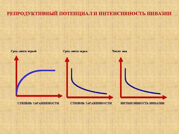 Репродуктивный это