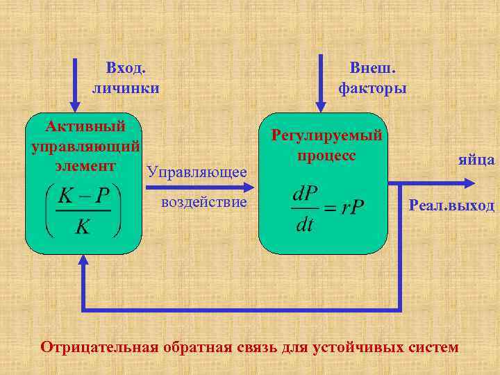 Вход. личинки Внеш. факторы Активный управляющий элемент Управляющее воздействие Регулируемый процесс яйца Реал. выход