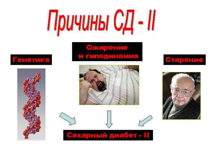 Генетика Ожирение и гиподинамия Сахарный диабет - II Старение 