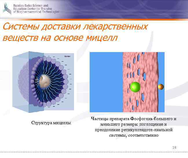 Системы доставки лекарственных веществ на основе мицелл Структура мицеллы Частицы препарата Фосфоглив большего и