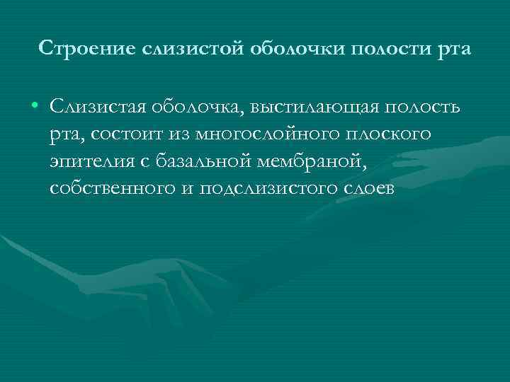 Строение слизистой оболочки полости рта • Слизистая оболочка, выстилающая полость рта, состоит из многослойного