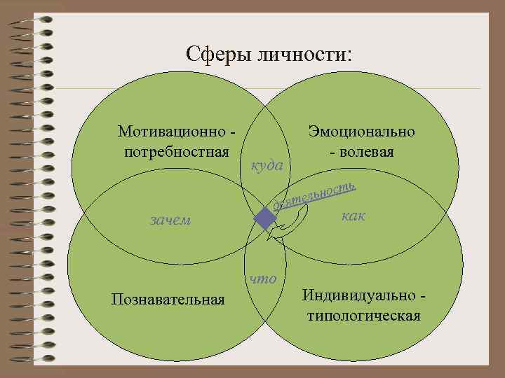 Развитый сфера. Сферы личности. Психологические сферы личности. Сферы личности в психологии. Сферы развития личности в психологии.