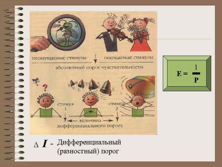 Познавательные процессы и интеллект презентация 8 класс биология