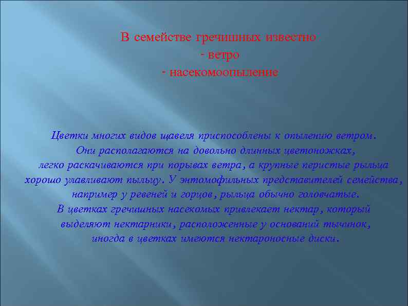 В семействе гречишных известно - ветро - насекомоопыление Цветки многих видов щавеля приспособлены к