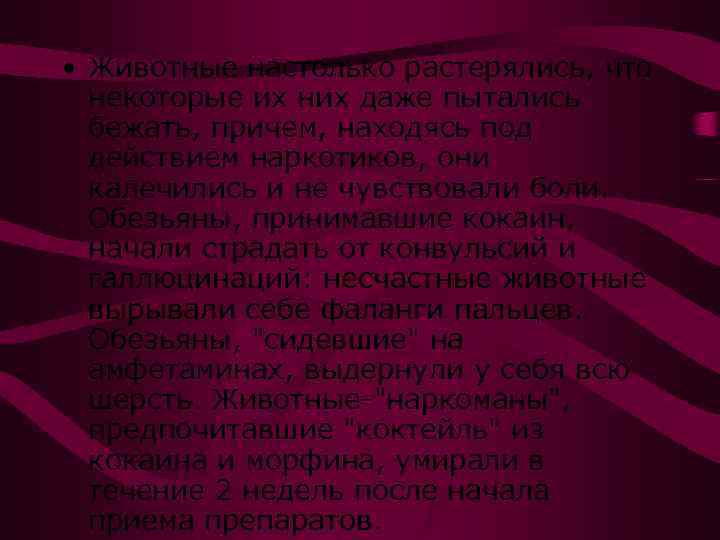  • Животные настолько растерялись, что некоторые их них даже пытались бежать, причем, находясь