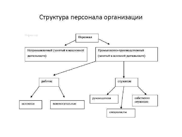 Структура персонала