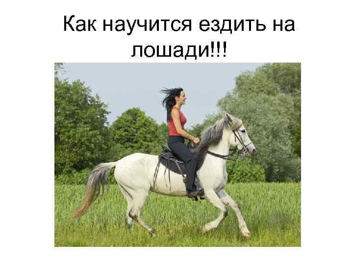 Как научится ездить на лошади!!! 
