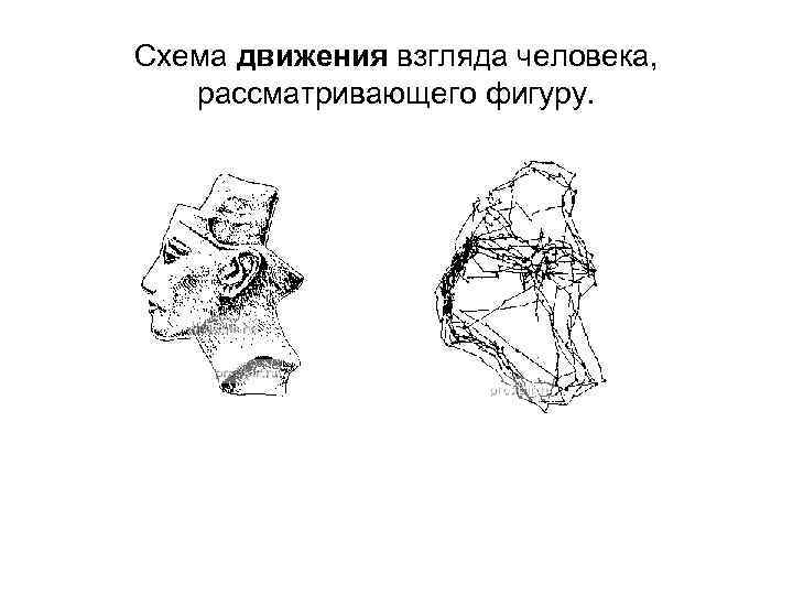 Схема движения взгляда человека, рассматривающего фигуру. 