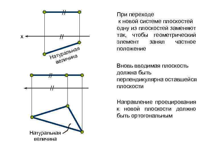 // // х я ьна л тура ина На ч ели в // //