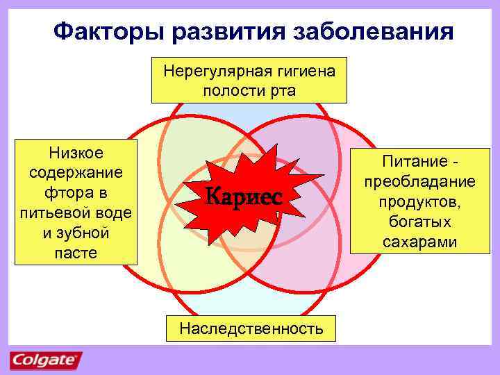 Факторы развития заболевания Нерегулярная гигиена полости рта Низкое содержание фтора в питьевой воде и