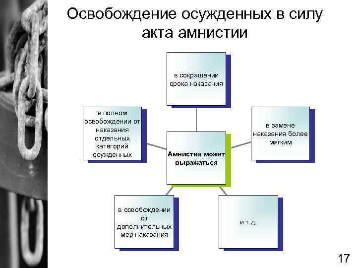 Освобождение осужденных в силу акта амнистии в сокращении срока наказания в полном освобождении от