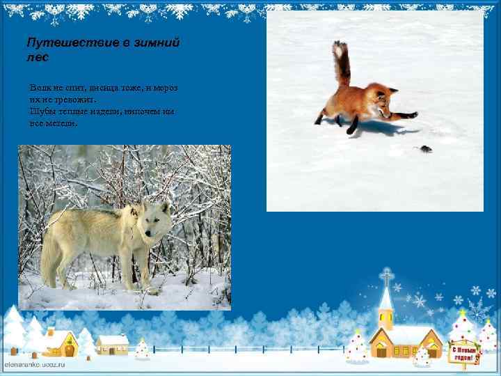 Путешествие в зимний лес Волк не спит, лисица тоже, и мороз их не тревожит.