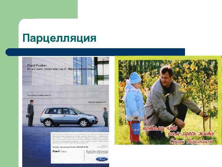 Парцелляция 