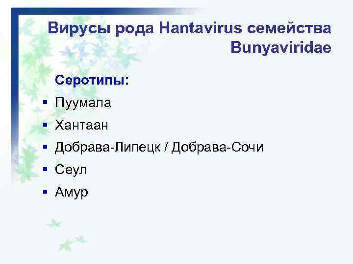 Вирусы рода Hantavirus семейства Bunyaviridae Серотипы: § Пуумала § Хантаан § Добрава-Липецк / Добрава-Сочи