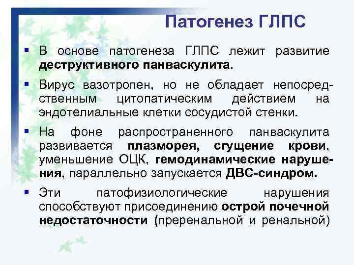 Патогенез ГЛПС § В основе патогенеза ГЛПС лежит развитие деструктивного панваскулита. § Вирус вазотропен,
