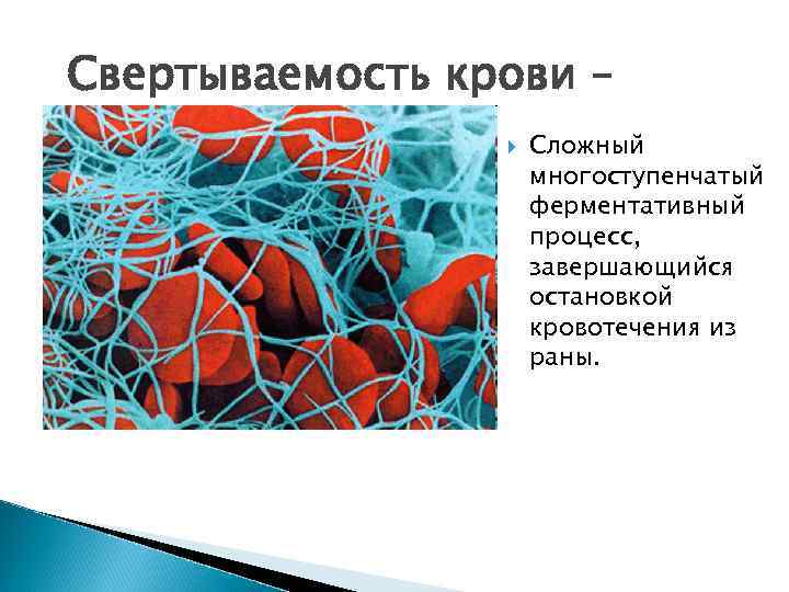 Свертываемость крови – Сложный многоступенчатый ферментативный процесс, завершающийся остановкой кровотечения из раны. 