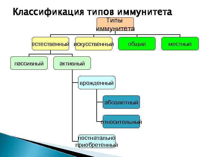 Классификация типов иммунитета Типы иммунитета естественный искусственный пассивный общий активный врожденный абсолютный относительный постнатально
