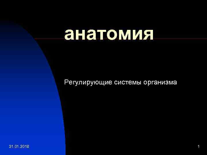 анатомия Регулирующие системы организма 31. 01. 2018 1 